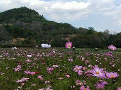-玉华宫景区