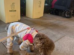 -瑞虹新天地月亮湾