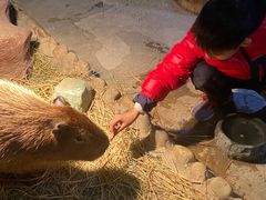 -太阳岛度假酒店