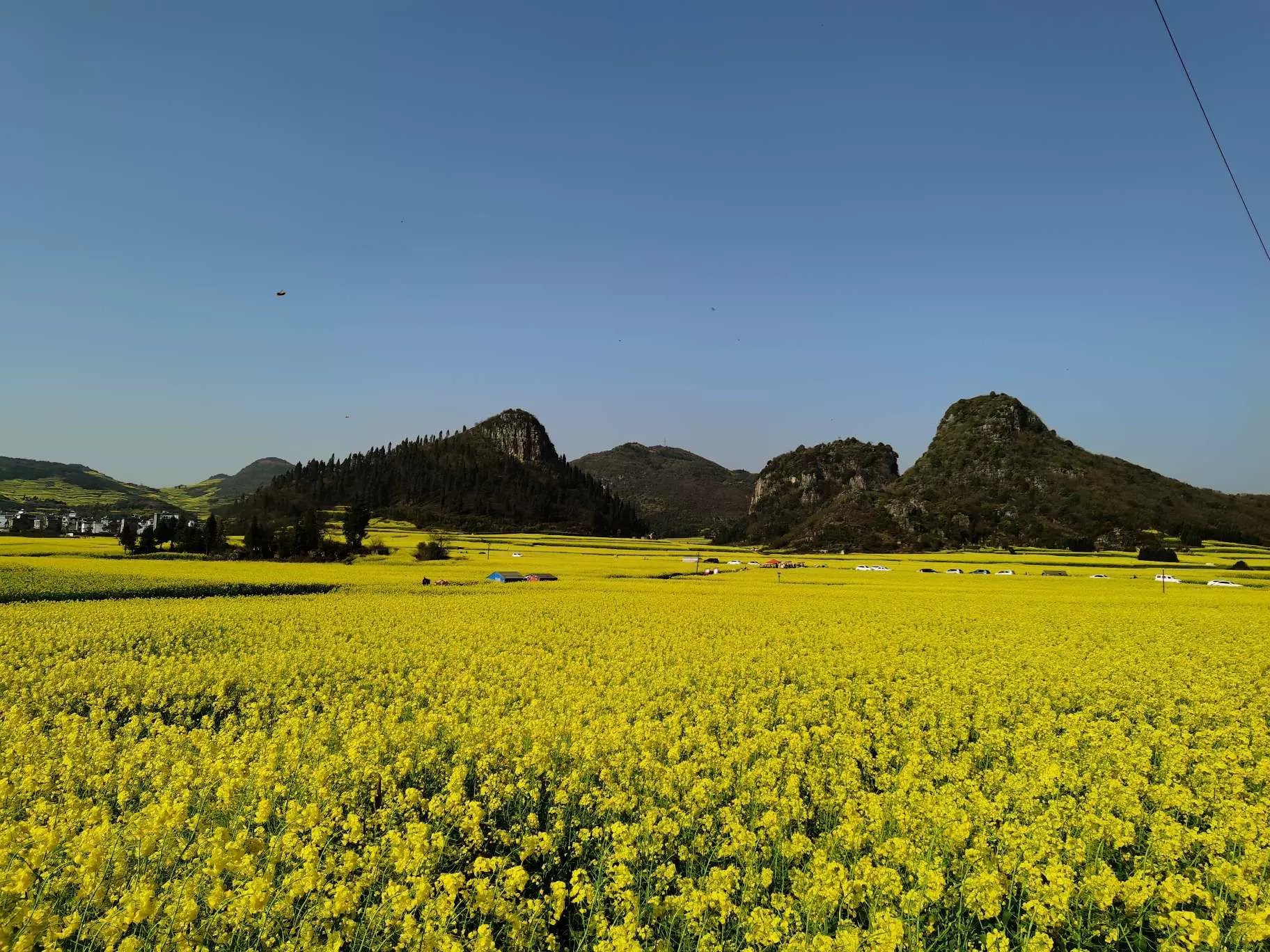 金鸡峰丛景区地图图片