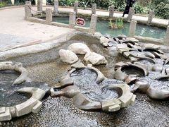 -成都市活水公园