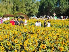 -长白岛森林公园