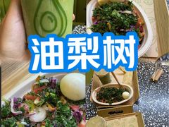 -油梨树AVOCADO TREE(顺义新国展店)