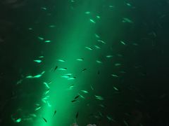 -宝丽金大酒店·洗浴中心