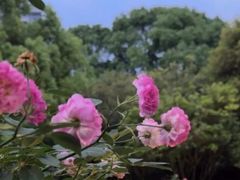 -乖乖佳花园山庄·私房菜(阿哈湖公园店)