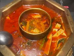 -蜀九香火锅(李家沱店)