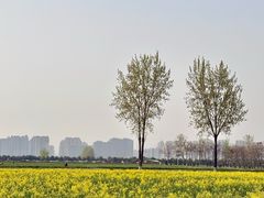 -汉长安城未央宫国家考古遗址公园