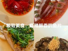 -广州富力君悦大酒店空中花园