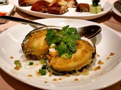 鲍鱼-陶陶居海鲜酒家(新马路店)