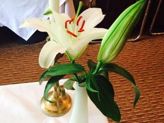 -成桂西餐厅·42年的味道(五大道疙瘩楼店)