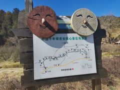 -千年银杏谷文化旅游区