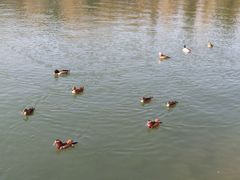 -二十一世纪饭店-游泳馆