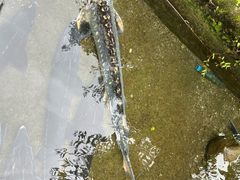 -源泉冷水鱼庄(小鱼洞店)