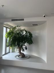 -爱月时月子会所·贝萌店