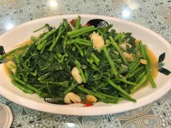 菜心-潮汕铺老店(甜水井店)