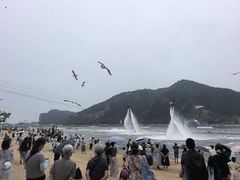 -林之六八·6886大连老菜馆