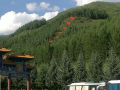 -塞罕坝国家级自然保护区