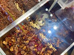 -鑫记婆婆兔·兔头(春熙店)