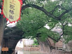 -观桥阁(锦溪店)