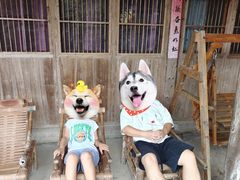 -林坑古村落