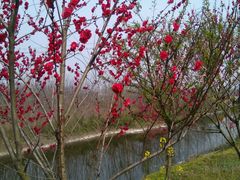 -祥源·阜阳生态乐园