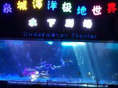 -泉城欧乐堡海洋极地世界