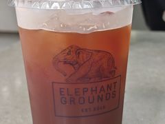 -Elephant Grounds(STARSTREET)