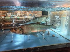 -紫阳海鲜楼·传承闽味(长乐路总店)