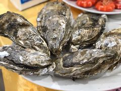 -蚝专家(北滘店)