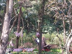 -广州市白云山风景名胜区