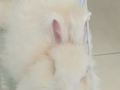 -怪兽屋·羊驼·猫咖·狗咖(俊华广场店)