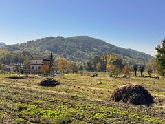 -塔川景区