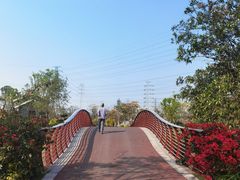 -王借岗森林公园