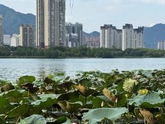 -飞来湖湿地公园