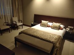 -春兰国宾馆(凤城河风景区老街店)