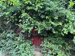 -斯多格书乡(北京大学畅春园店)