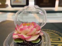 -中卫御苑福膳·养生局(圆明园店)