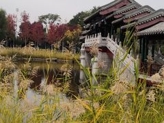 -西海子公园