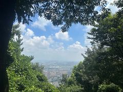 -惠山国家森林公园