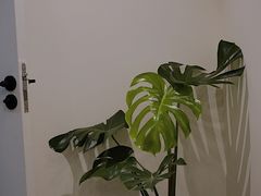-二里咖啡(上堡公寓店)