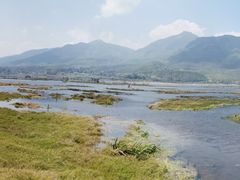 -腾冲北海湿地