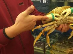 -渔中舟海鲜大排档(普陀沈家门店)