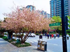 -浙江大学(玉泉校区)