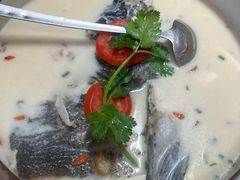 -全乐鱼馆·淳牌有机鱼直营店