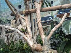 -香港海洋公园