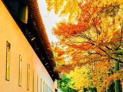 -西园寺