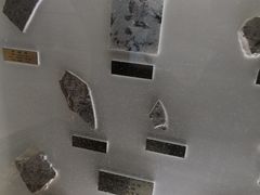 -上海昆虫博物馆