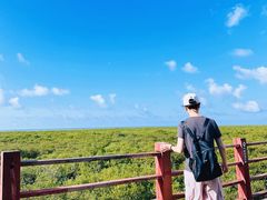 -北海金海湾红树林生态旅游区