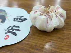 -回坊马二饺子馆