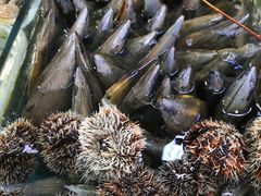 -四川小胡子海鲜(丁村万人海鲜广场店)